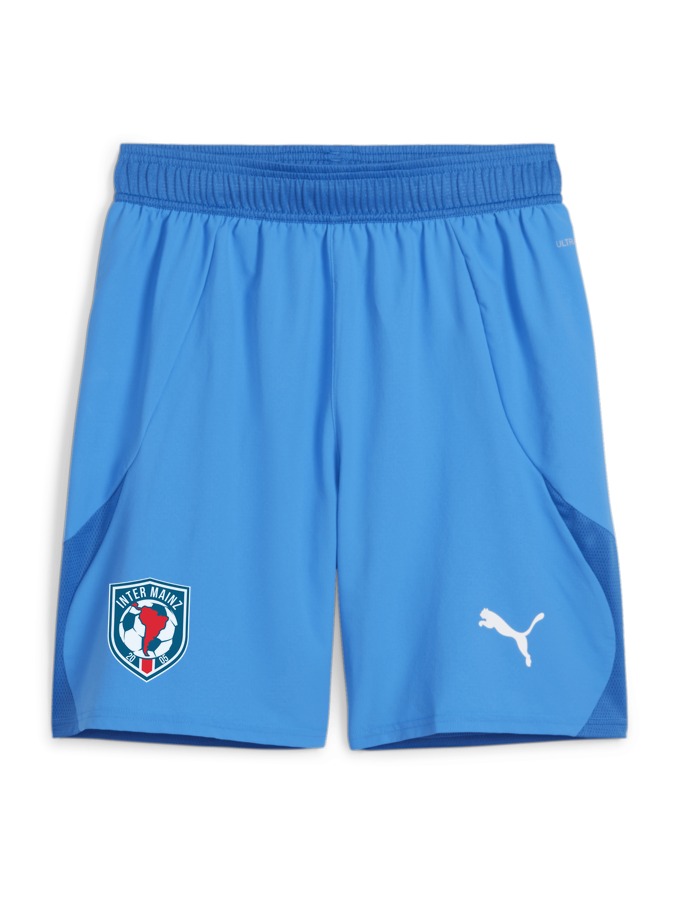 PUMA teamFINAL Shorts