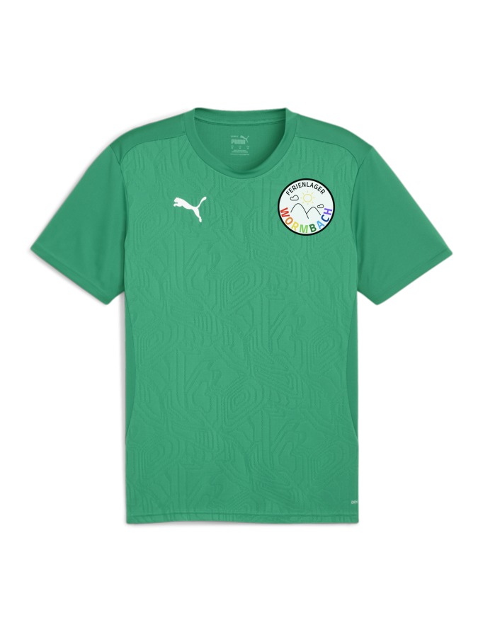 PUMA teamFINAL Trainingsshirt