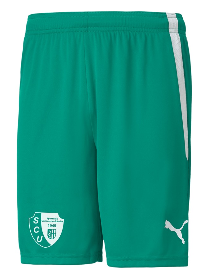 PUMA teamLIGA Shorts