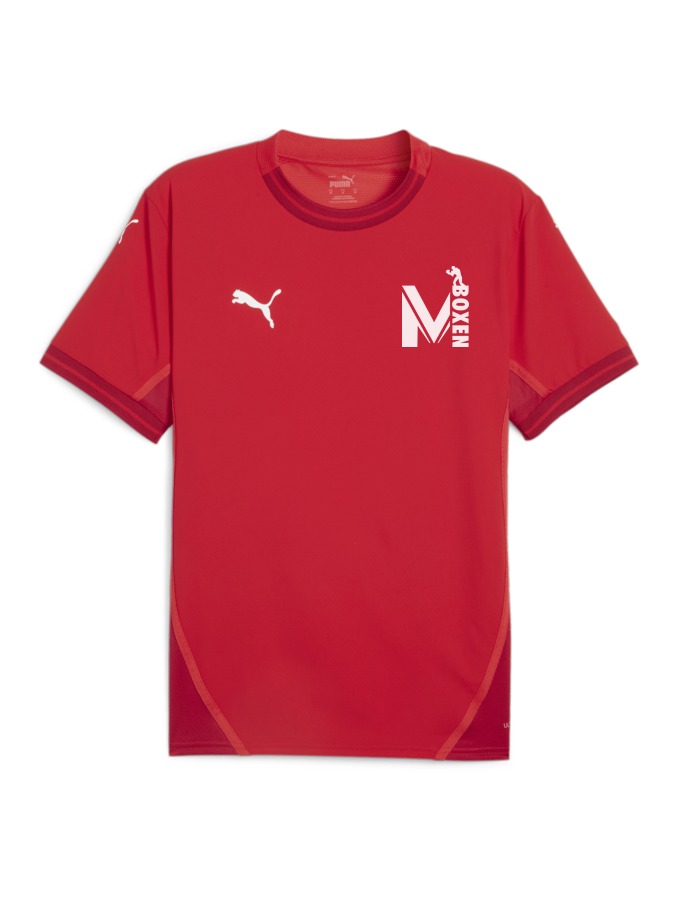 PUMA teamFINAL Trikot