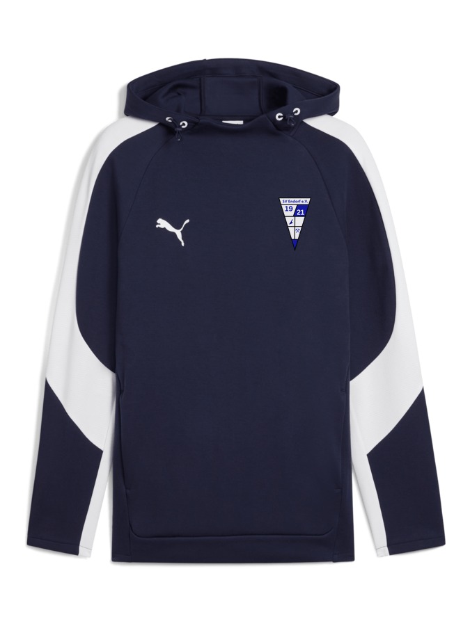 PUMA teamEVOSTRIPE Hoody