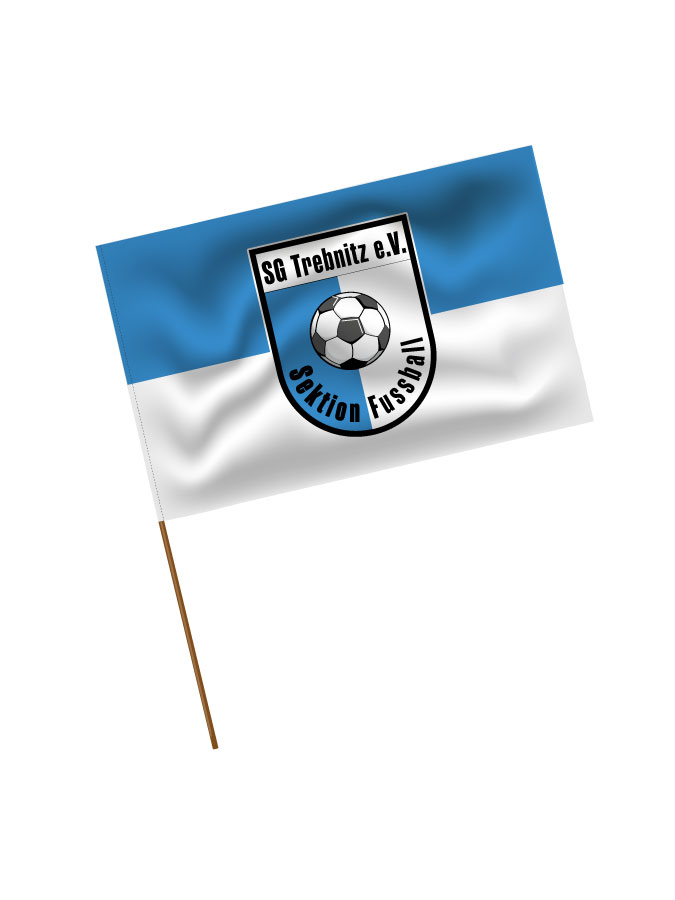 Stadionfahne Logo