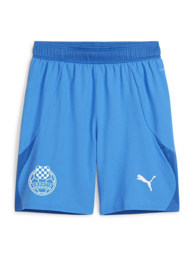 PUMA teamFINAL Shorts
