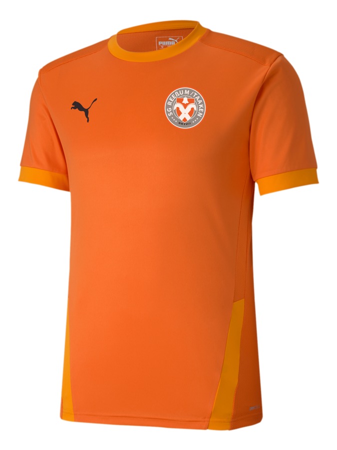 PUMA teamGOAL 23 Trikot