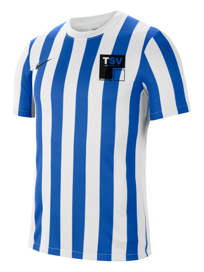 Nike Division 4 Striped Kurzarm Trikot