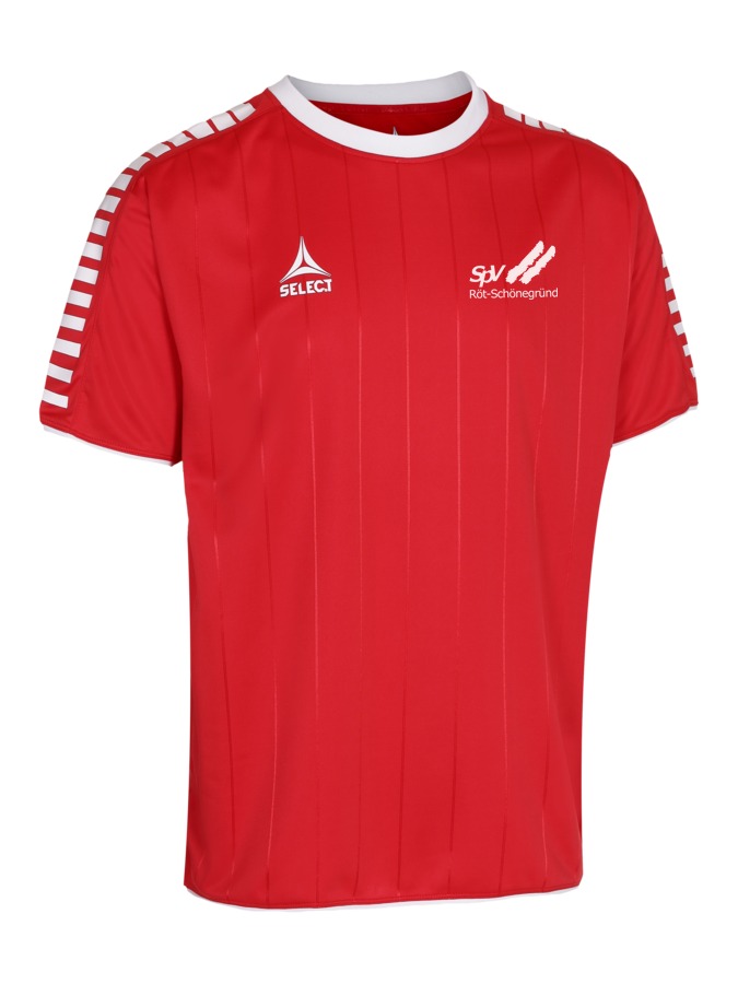 Select Argentina Trikot