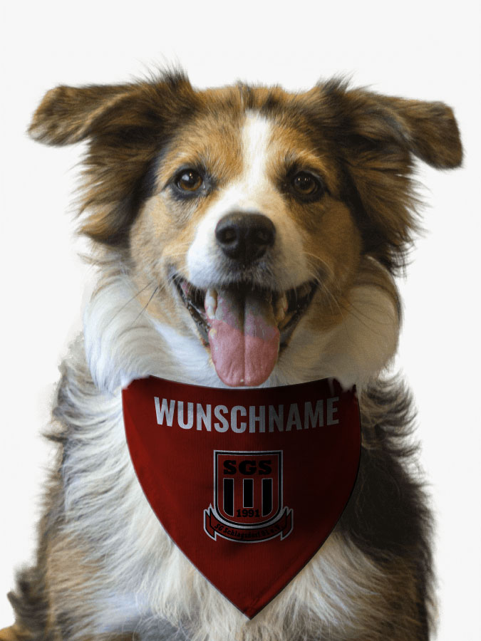 Hundehalstuch