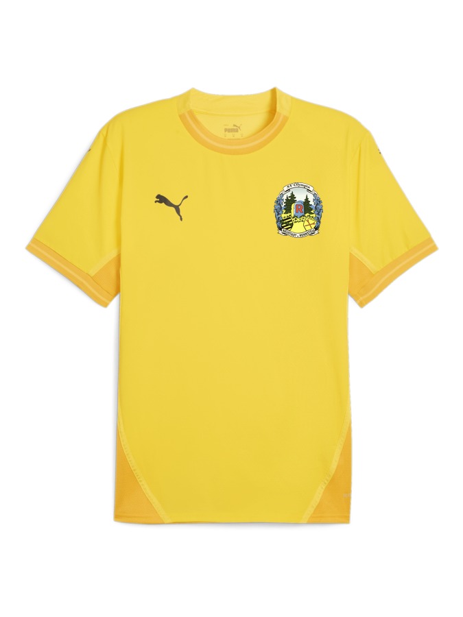 PUMA teamFINAL Trikot