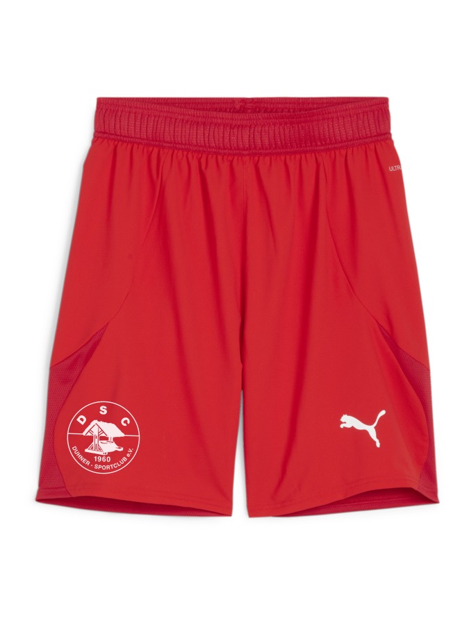 PUMA teamFINAL Shorts