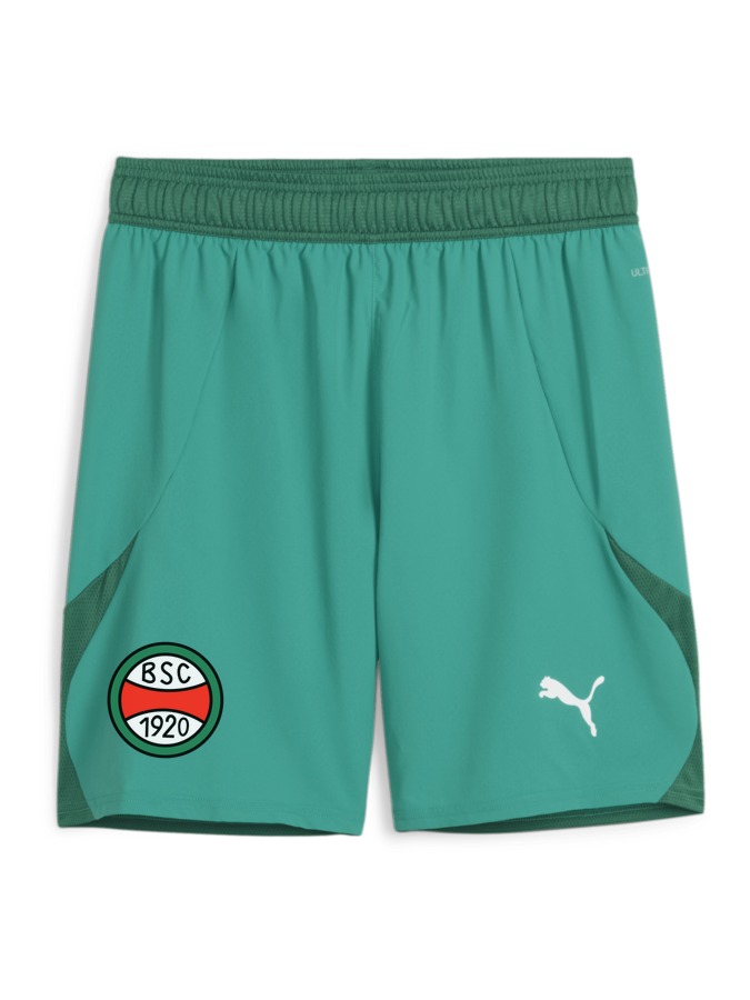 PUMA teamFINAL Shorts
