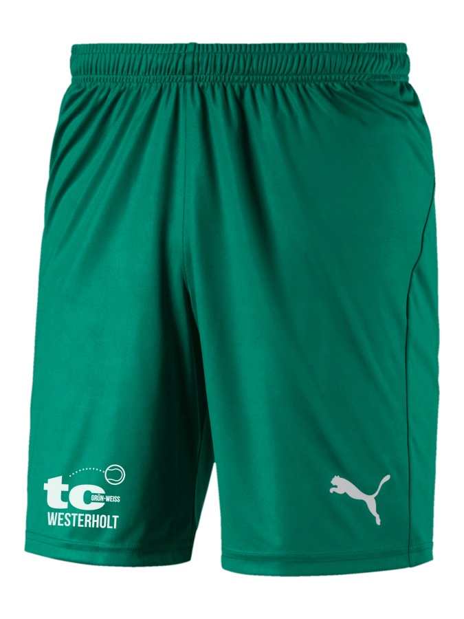 PUMA LIGA Shorts Core