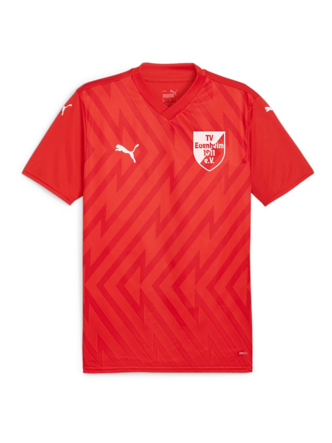 PUMA teamGLORY Trikot