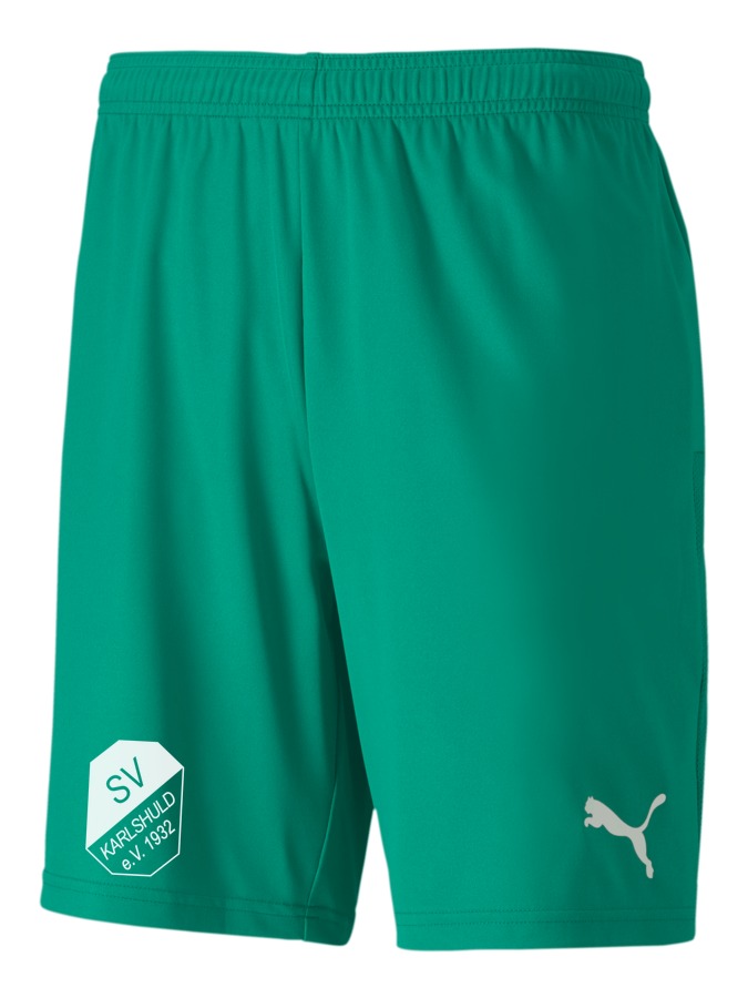 PUMA teamGOAL 23 Knit Shorts