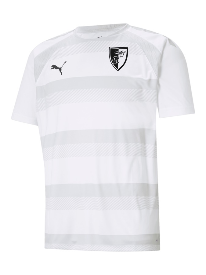 PUMA teamVISION Trikot