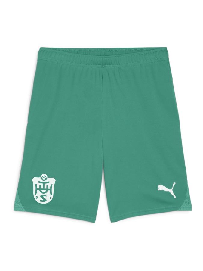 PUMA teamGOAL Shorts