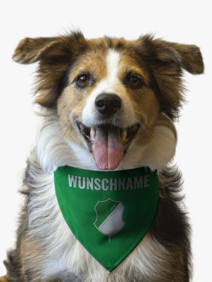 Hundehalstuch