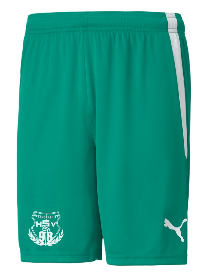 PUMA teamLIGA Shorts