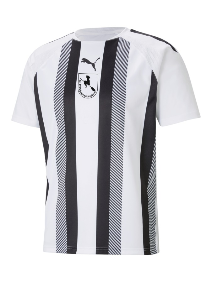 PUMA teamLIGA Striped Trikot