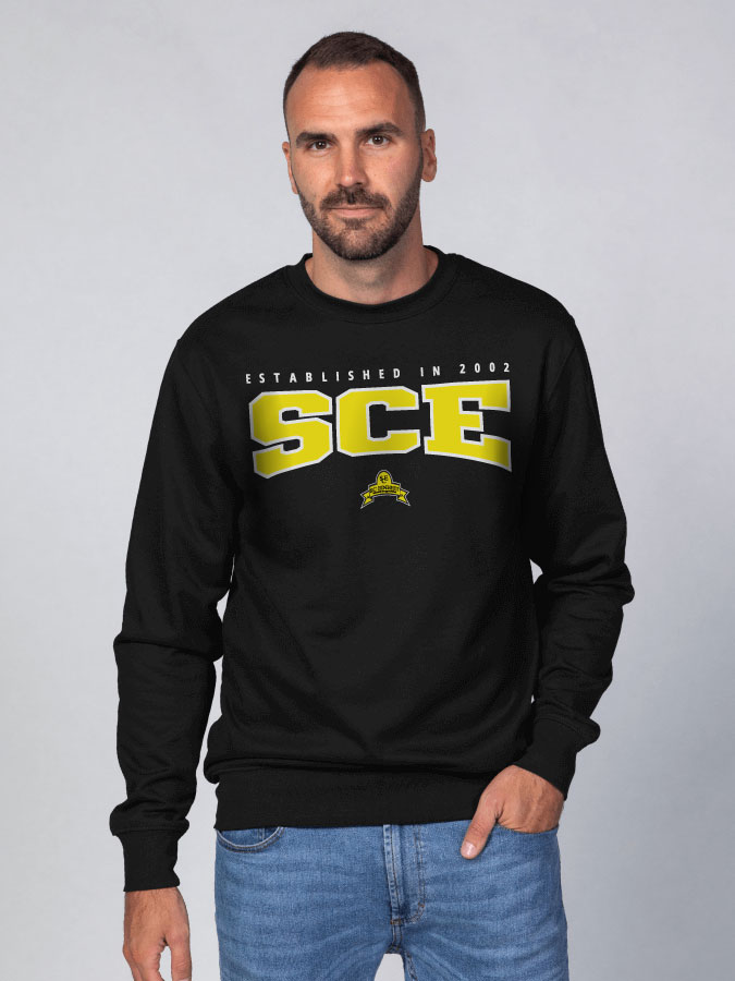 Sweater Retro Herren