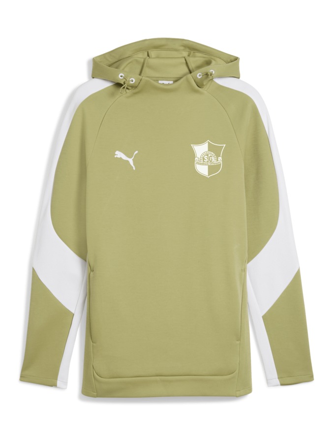 PUMA teamEVOSTRIPE Hoody