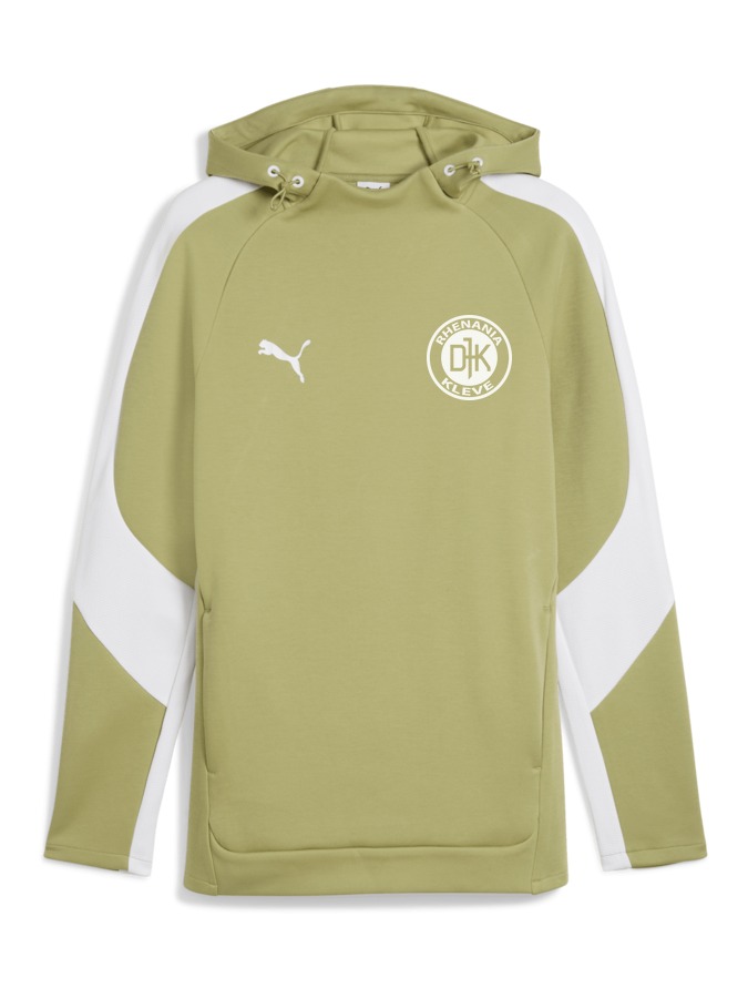 PUMA teamEVOSTRIPE Hoody