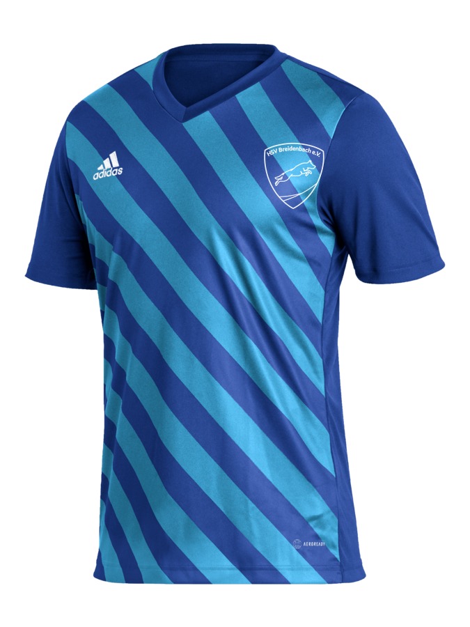 adidas Entrada 22 GFX Trikot