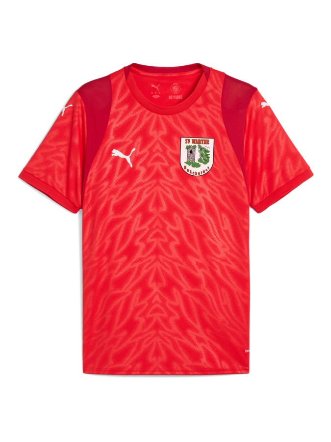 PUMA teamCUP Trikot