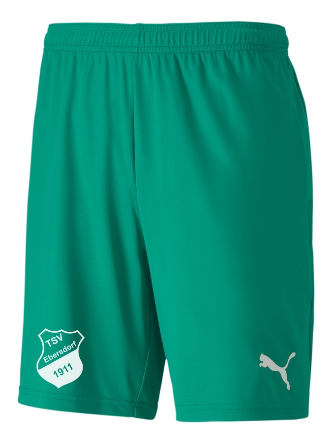 PUMA teamGOAL 23 Knit Shorts