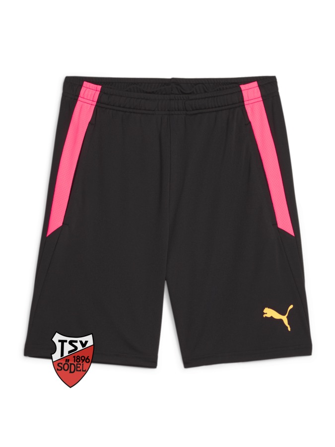 PUMA teamLIGA Training Shorts 2 (Offene Taschen)