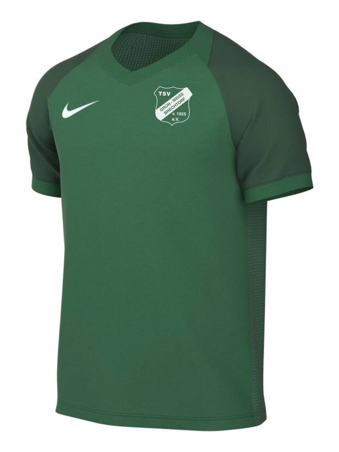 Nike Trophy VI Trikot Kinder