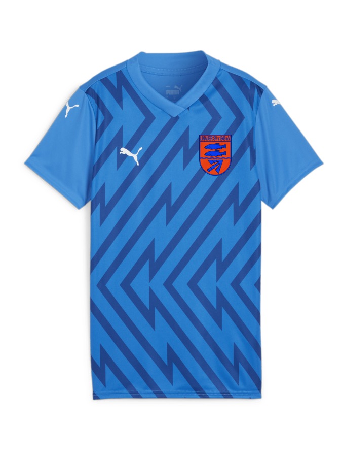 PUMA teamGLORY Trikot Damen