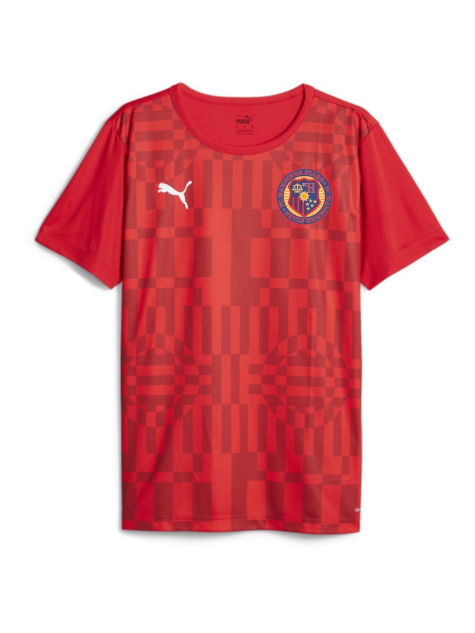 PUMA individualRISE Graphic Trikot