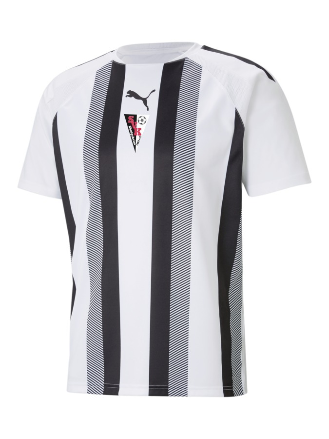 PUMA teamLIGA Striped Trikot