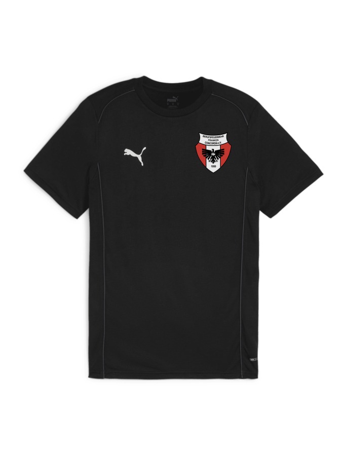 PUMA teamFINAL Casuals T-Shirt