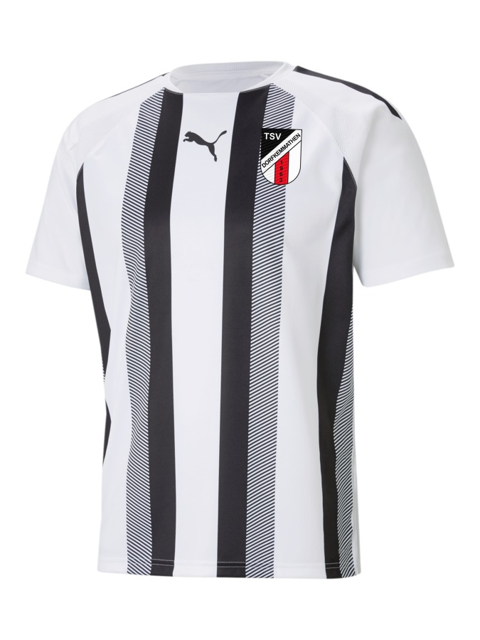 PUMA teamLIGA Striped Trikot