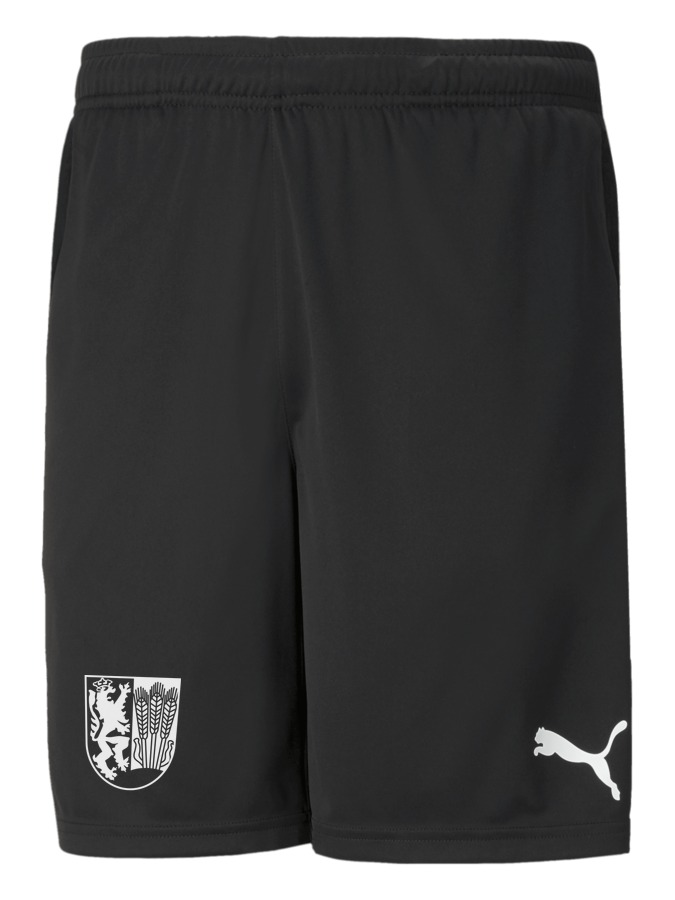 PUMA teamRISE Training Shorts