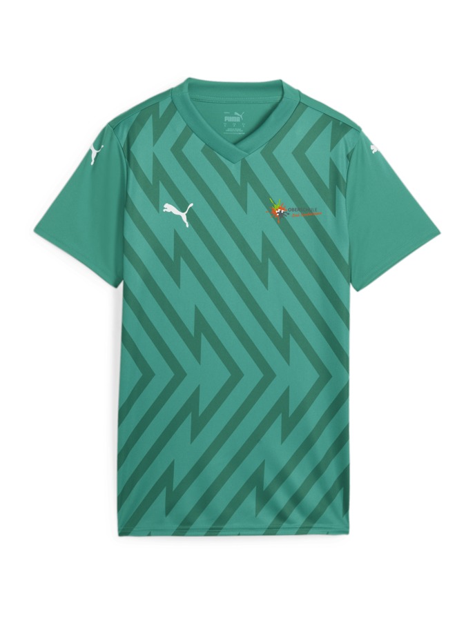 PUMA teamGLORY Trikot Damen