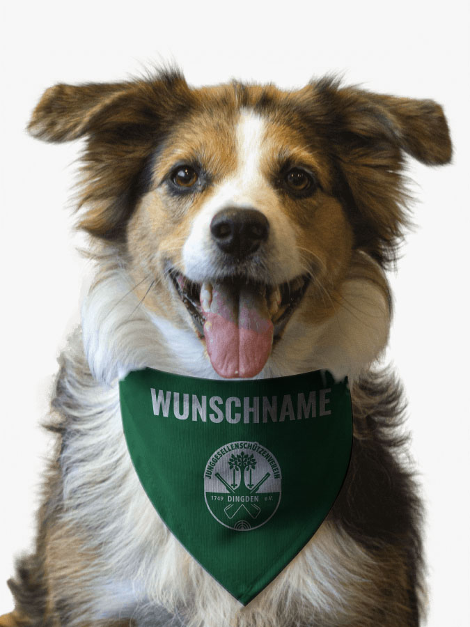 Hundehalstuch