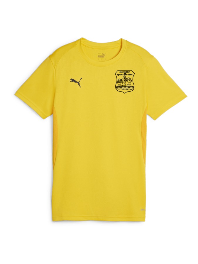 PUMA teamGOAL Trikot Damen