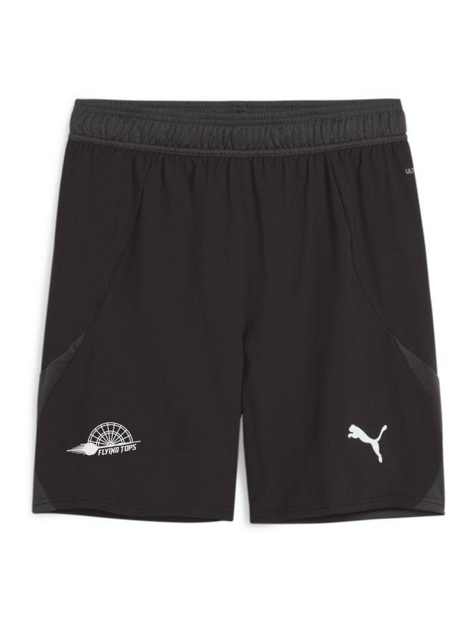 PUMA teamFINAL Shorts