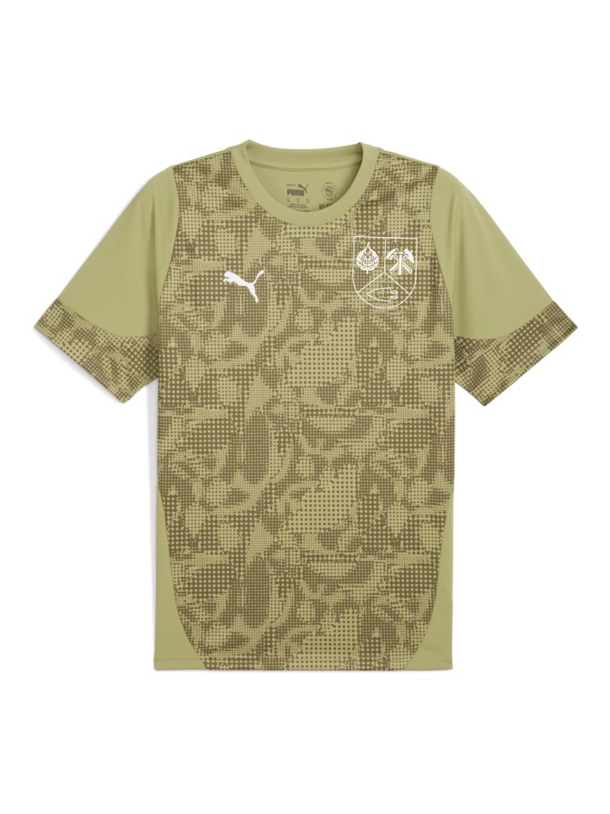 PUMA teamCUP Trainingsshirt