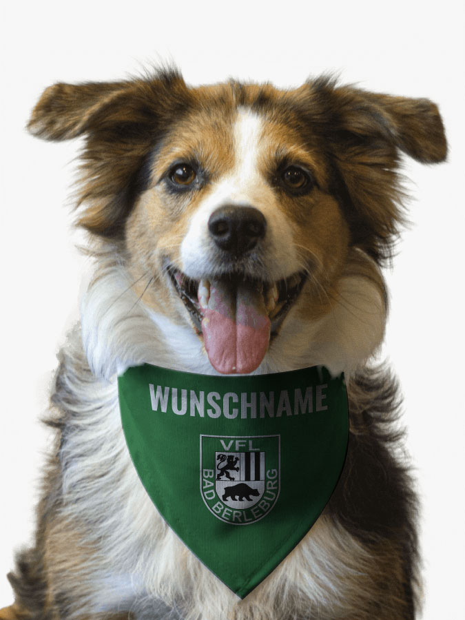 Hundehalstuch