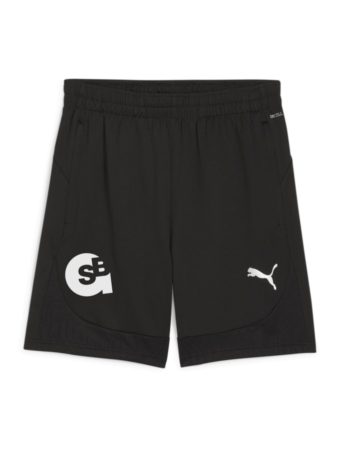 PUMA teamFINAL Training Shorts
