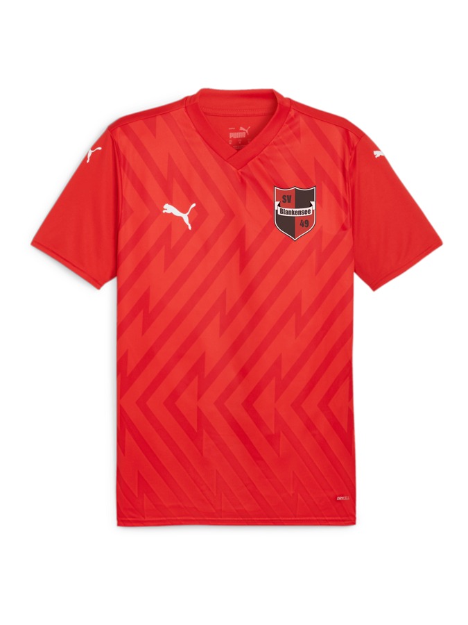 PUMA teamGLORY Trikot