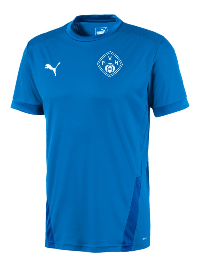 PUMA teamGOAL 23 Trikot