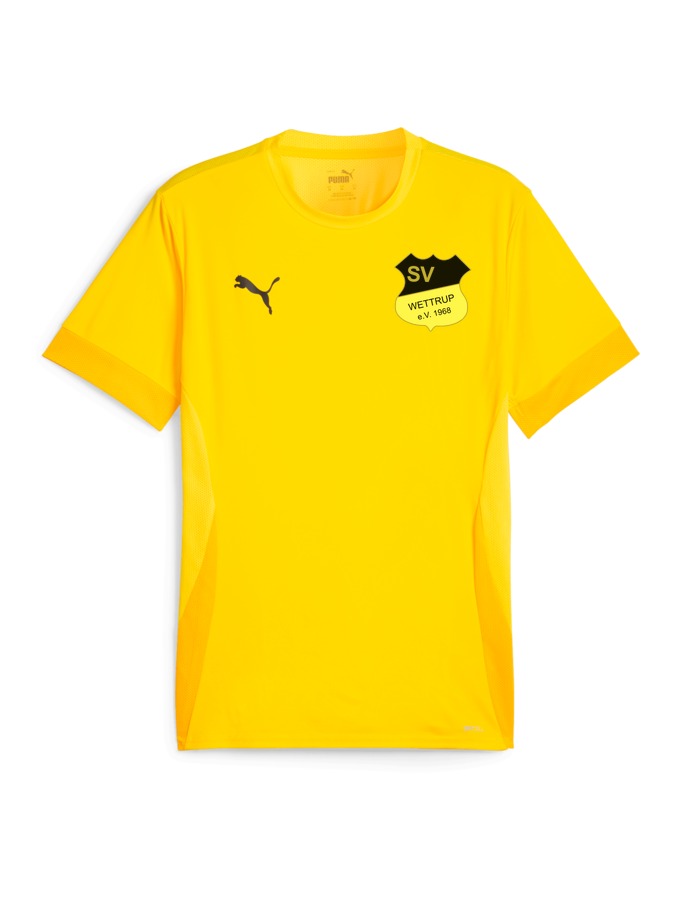 PUMA teamGOAL Matchday Trikot