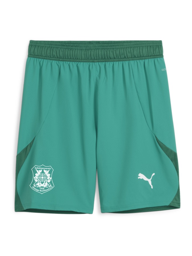 PUMA teamFINAL Shorts