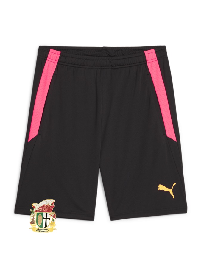 PUMA teamLIGA Training Shorts 2 (Offene Taschen)