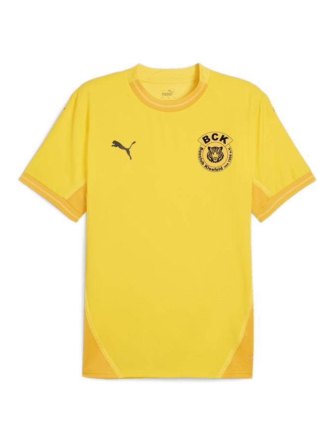 PUMA teamFINAL Trikot