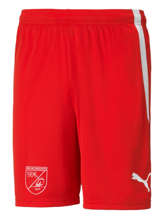 PUMA teamLIGA Shorts